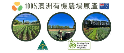 100% Organic Kale Powder 100% 澳洲有機羽衣甘藍粉